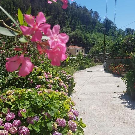 Casa Nonna Anna Villa Maiori Eksteriør bilde