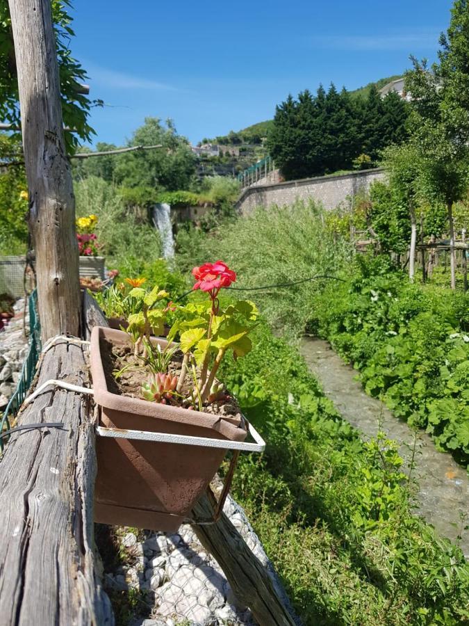 Casa Nonna Anna Villa Maiori Eksteriør bilde