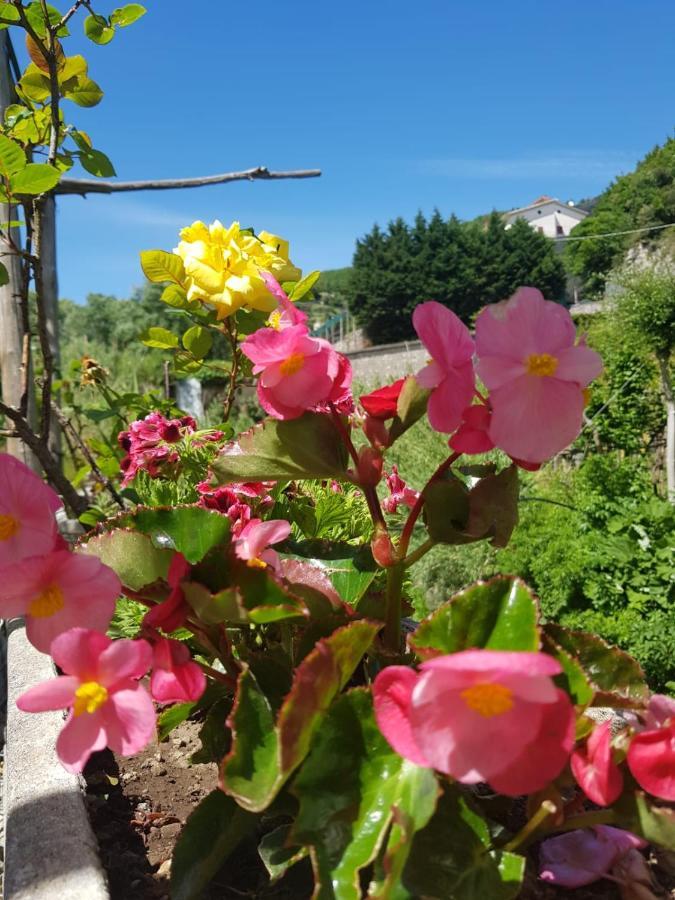 Casa Nonna Anna Villa Maiori Eksteriør bilde