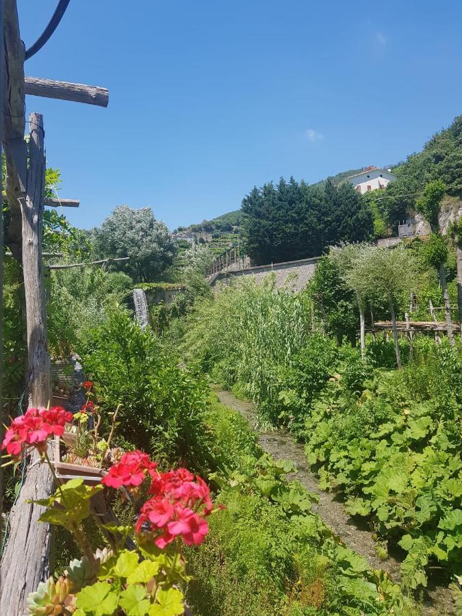 Casa Nonna Anna Villa Maiori Eksteriør bilde