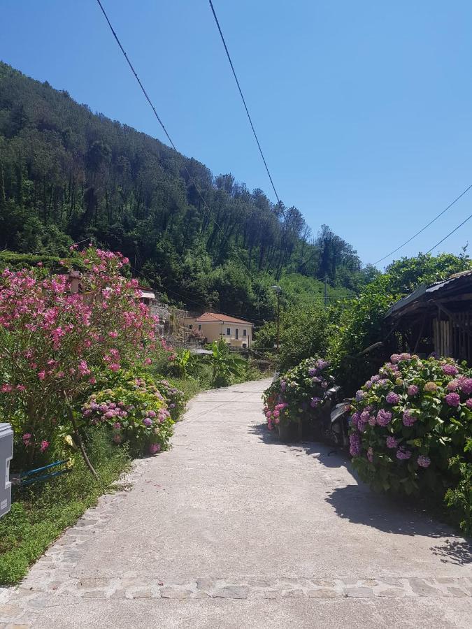 Casa Nonna Anna Villa Maiori Eksteriør bilde