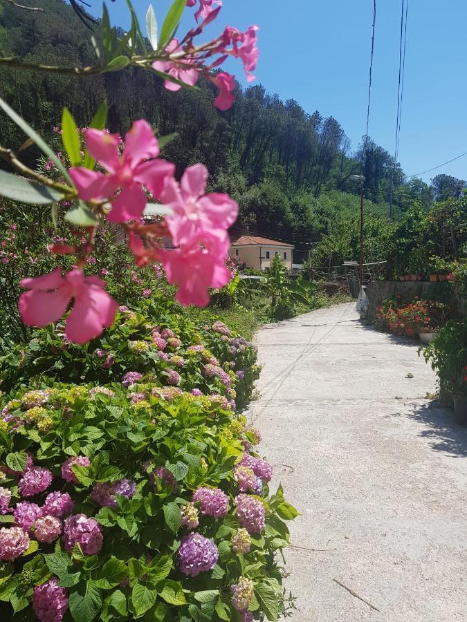 Casa Nonna Anna Villa Maiori Eksteriør bilde