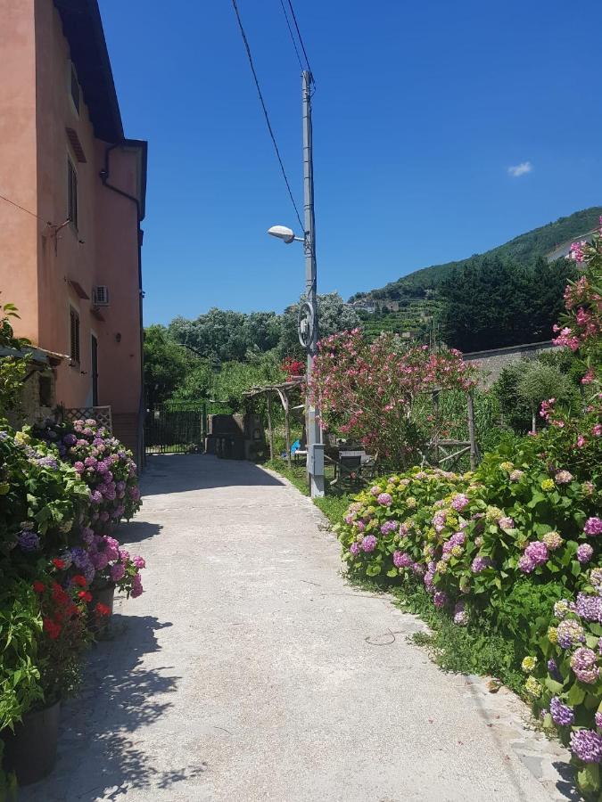 Casa Nonna Anna Villa Maiori Eksteriør bilde