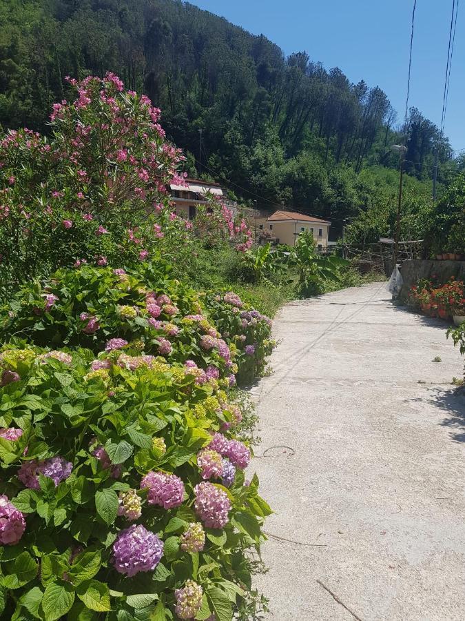 Casa Nonna Anna Villa Maiori Eksteriør bilde