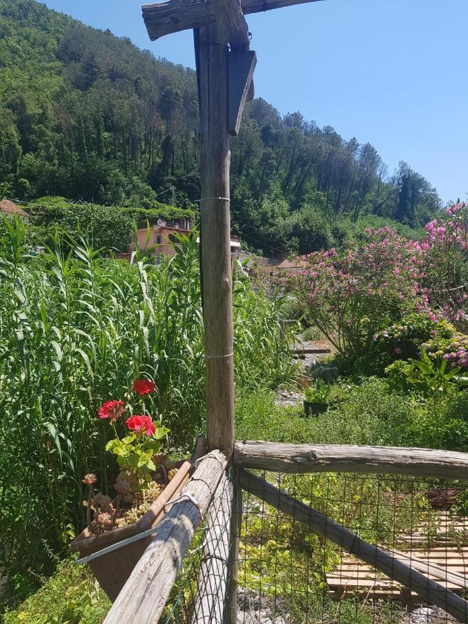 Casa Nonna Anna Villa Maiori Eksteriør bilde